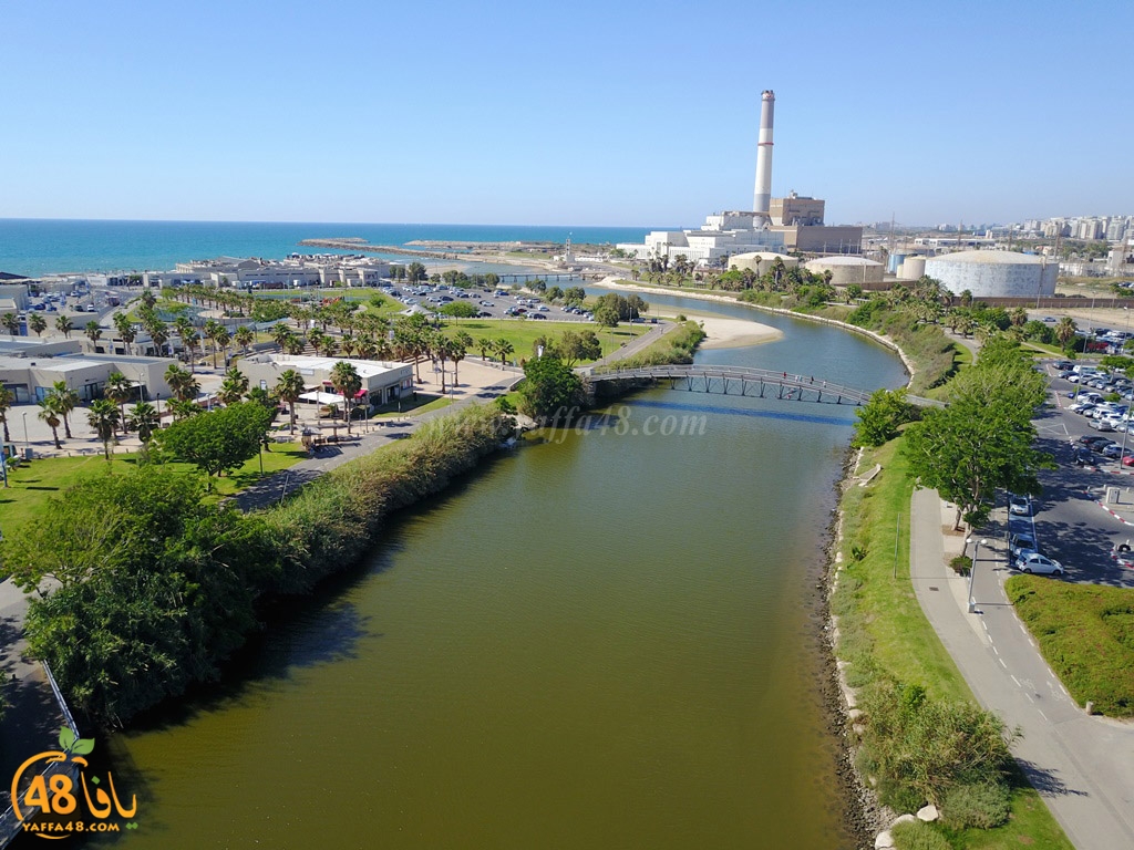 al3oja nahre (1).JPG